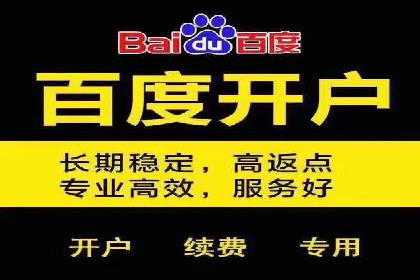 百度竞价广告代运营的五大优势及在某行业的成功应用
