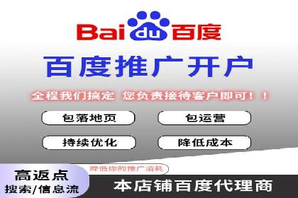 行业领先企业的SEM代理案例剖析